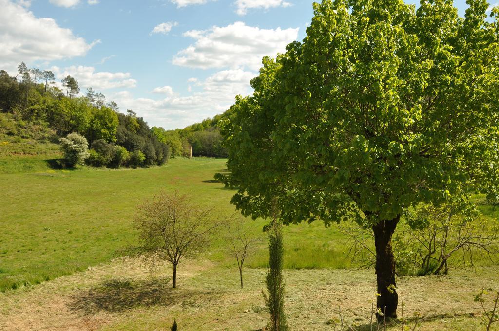 Gite Chez Le Gaulois Carsac-Aillac Buitenkant foto