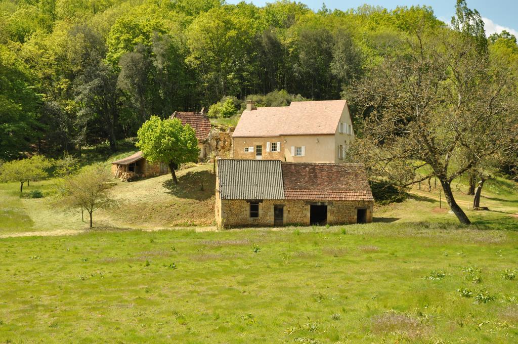 Gite Chez Le Gaulois Carsac-Aillac Buitenkant foto