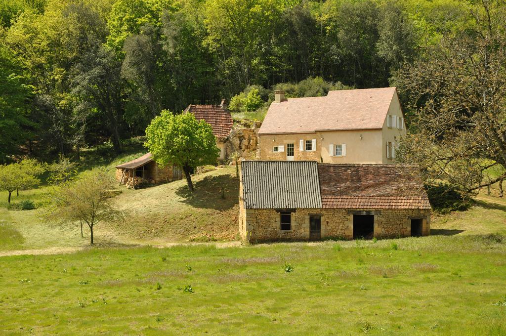 Gite Chez Le Gaulois Carsac-Aillac Buitenkant foto