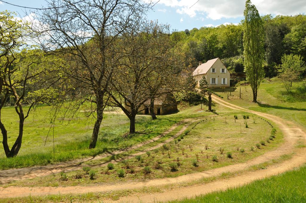 Gite Chez Le Gaulois Carsac-Aillac Buitenkant foto